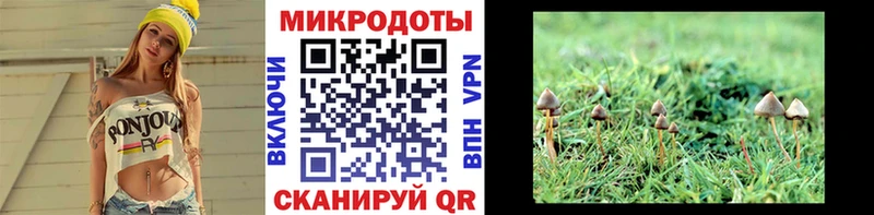 Галлюциногенные грибы Magic Shrooms Краснокамск